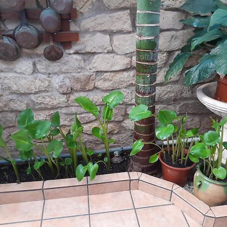 אליקאנטה Pension Antonio Guesthouse מראה חיצוני תמונה